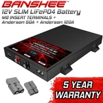 Reliable 100AH Battery With Advanced Bms For 1500W Inverter Use. Fixed Price $599.99.