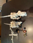 Lego Ideas Dinosaur Fossils 21320 Complete. Fixed Price $56.00.