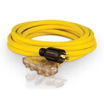 Champion Power Equipment 48036 Generator Cord, 25 Ft., Plastic. Fixed Price $99.99.