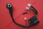 Generac GP2200I 7117-0 80CC 1700 Watt Inverter Generator Ignition Coil. Fixed Price $74.99.